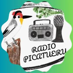 Radio Picatueru